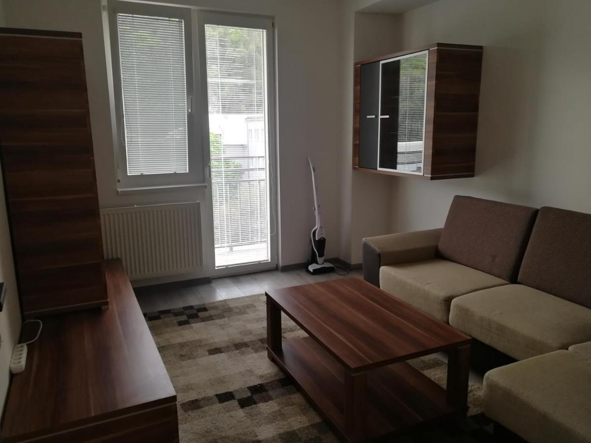 Apartman "K Vystavisku" Apartment Trencin Exterior photo